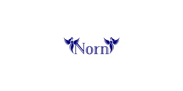 Nornの店内・ホスト写真_0