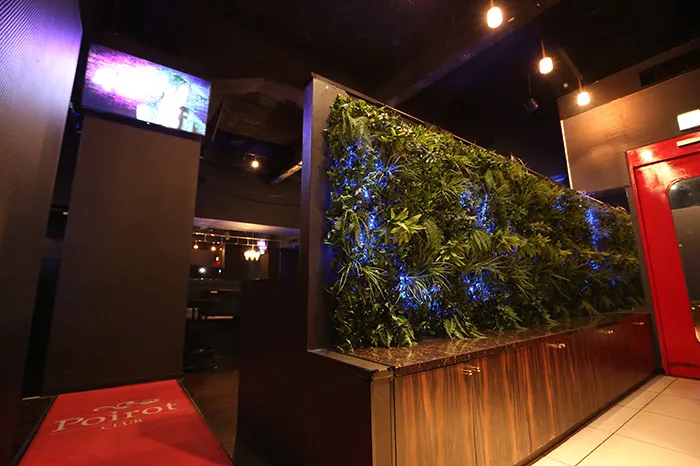 EVE-本店-の店内・ホスト写真_1